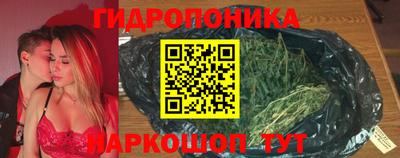 МДПВ Пушкино